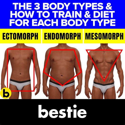 The 3 Body Types & How To Train & Diet For Each Body Type Sources: https://pastebin.com/aCgBsBr0 #BodyTypes #BuildMuscle #Bestie | Bestie