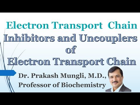 LECTURE II Inhibitors and Uncouplers of ETC II Electron Transport Chain II Dr Prakash Mungli