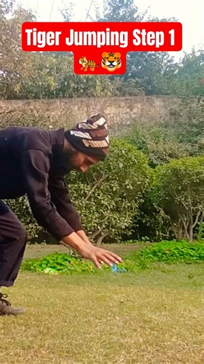 Tiger Jumping Step 1 🐅🐯 #tigerjump #tiger #jumping #jump #shorts #trending #mymartialartsfitness
