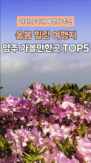 영주 가볼만한곳 TOP5 소백산 부석사 소수서원 무섬마을 선비촌 #영주가볼만한곳 #소백산철쭉축제 #영주여행