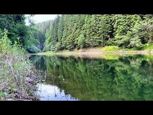 Peace by the Lake – Pure Nature ASMR