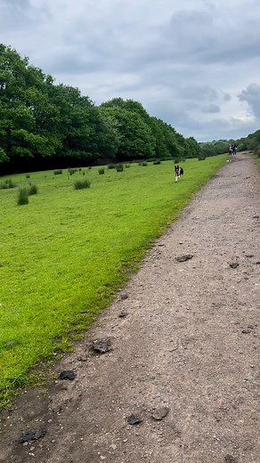 327 reactions · 50 comments | Barney loves to be with Shirley | Stephen Kelleher | Facebook