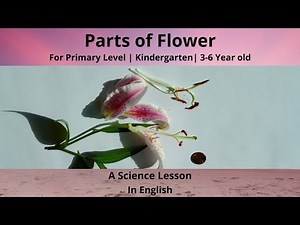 Parts of a Flower - A Montessori Science Lesson | Primary Level