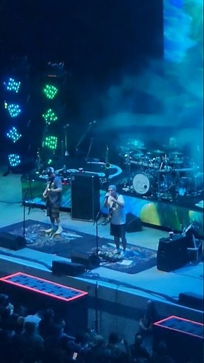 Slightly Stoopid - Collie Man Live (Best Live Performance)