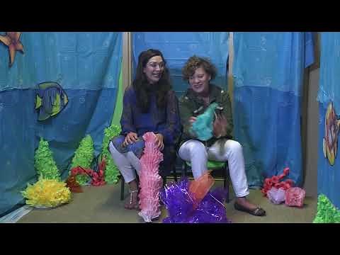 Shipwrecked VBS 2018 | Decorating Walk Through
