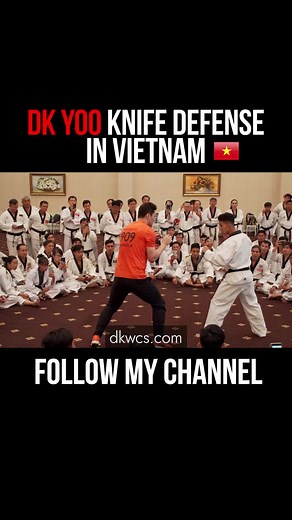 Knife Defense Techniques in Vietnam with DK Yoo
