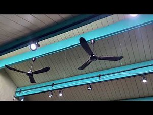Canarm CP56 Industrial Ceiling Fans at La Ronde (Demonstration Video) (2023)