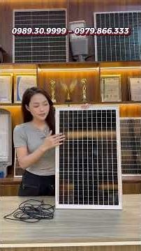 Quạt năng lượng mặt trời - Quạt cây công nghiệp năng lượng siêu mạnh 12 cấp độ gió.