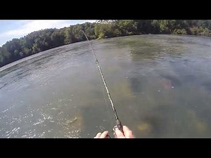 Hard to beat a Mepps Aglia Spinner