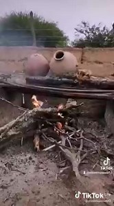 🔴La vida de campo en nuestro país 🇧🇴 | Residentes Bolivianos en Chile Radio TV