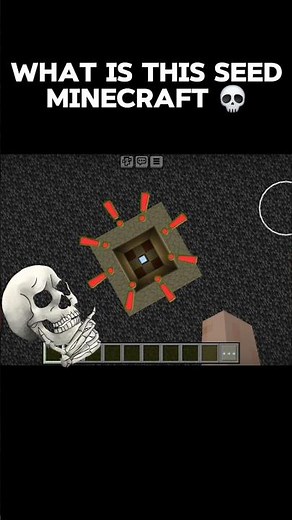 The Weirdest Things Ever in Minecraft 🤯 | You Won’t Believe This!