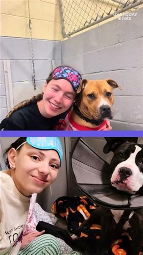 Dog rescue has unique fundraiser. See adorable slumber party.