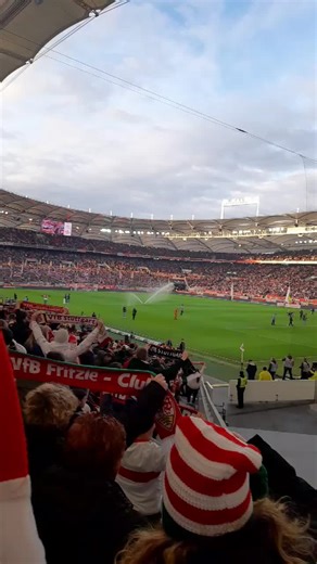 VfB Stuttgart Home Match Highlights