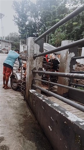 Bucher 🐖🐖🐖 | Jofel Diaz