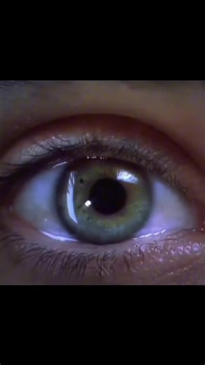 Archiver (@2archiver)’s videos with original sound - Archiver