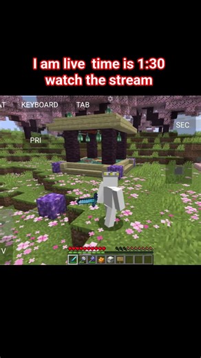 how to join server in mincraft token smp #trendingshorts #statchu #minecraft #trendingshorts