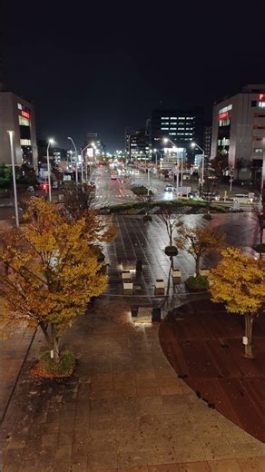 新潟駅から見た光景