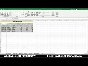 New Perspectives Excel 2019 Module 6 SAM Project 1a | Oval Lake Hospital