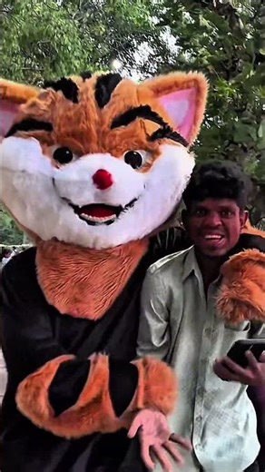 Kats got attention 😍 #youtubeshorts #funny #comedy #ytshorts #trendingshorts
