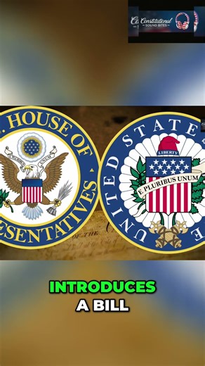 How The Republic is Intended to Work in 60 Seconds #government #civics