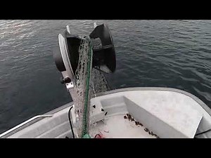 Test av teine og garnhaler