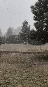 IT'S COMING DOWN! ❄ It may be spring, but it certainly doesn't feel like it up in northern Arizona. Check out the snowfall in Overgaard right now! ❄☃ FORECAST: http://bit.ly/1R6tZRe CREDIT: Mike Pickens | FOX 10 Phoenix