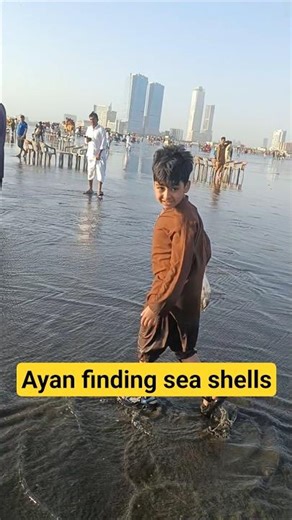 Finding sea shell 🐚