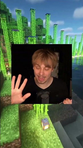 The end result looks really disgusting...😭Minecraft Tordi #minecraft #sabos #tordi #german