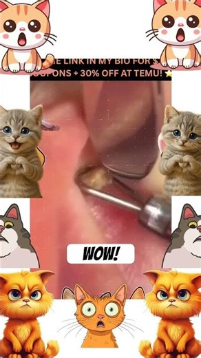 BLACKHEAD!!! 😍
