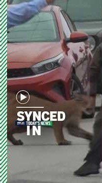 In the news: Mountain lion captured, parents raise money to cool classrooms, SF 49ers' Week 2 game