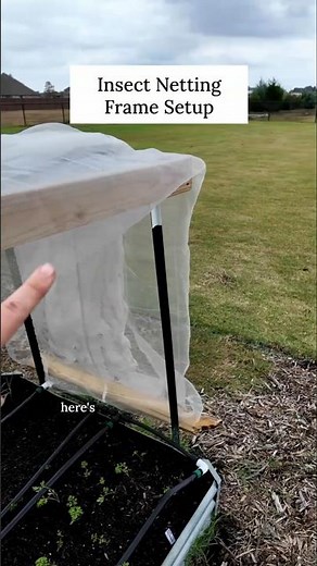 This DIY Insect Netting is a total game-changer: Here's the setup!