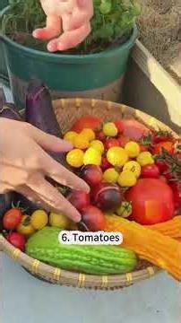 Seasonal Vegetable Farming Guide | What to Grow in Each Season
