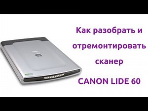 Как отремонтировать сканер Canon Lide 60 ✅