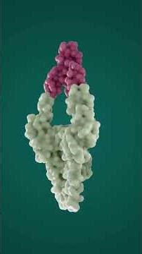 How Chaperonin GroEL GroES Folds Life’s Proteins #Chaperonin #GroELGroES #ProteinFolding