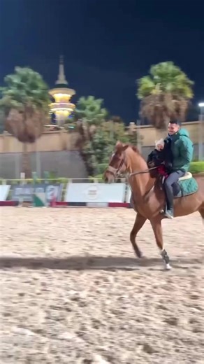 Baby girl but riding like a pro 😉💕 #horseriding #equestrian #littleRider #cutemoments #fyp