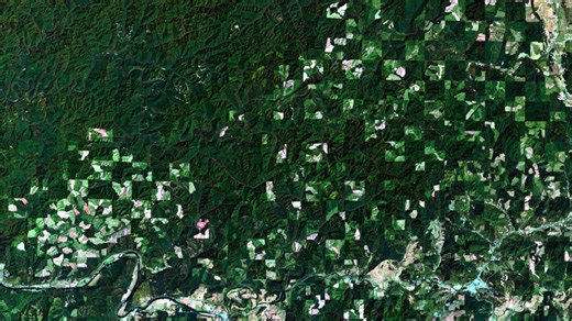 Bill allowing Oregonians to ‘corner cross’ on public lands dies in legislative session