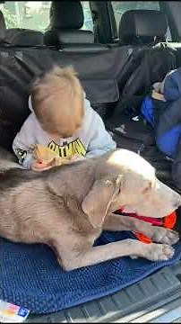 The new Dreame L10s Ultra Gen3