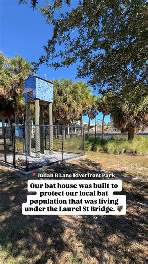 10K views · 5.2K reactions | Bats are environmental baddies! 驪 The...