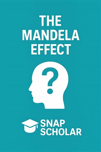 SnapScholar on TikTok