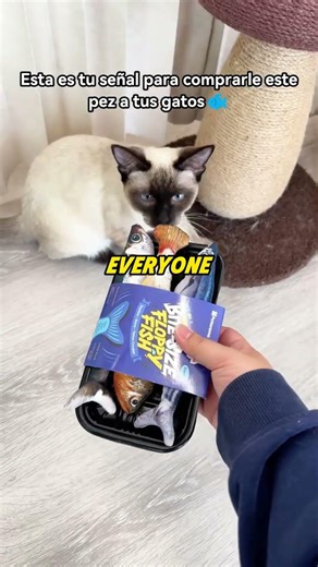 Pet toy brand goes viral,earning over $3 million annually on TikTok #petmarket