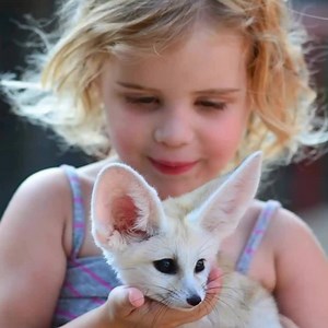 25 shares · 20 comments | Join us at Animal World & Snake Farm Zoo for Spring Break! Educational interactive shows every 30 minutes. Great hands-on & photo opportunities. | Animal World & Snake Farm Zoo | Facebook