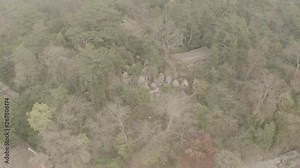 "The Beatles ashram" in Rishikesh, India, 4k aerial ungraded/flat