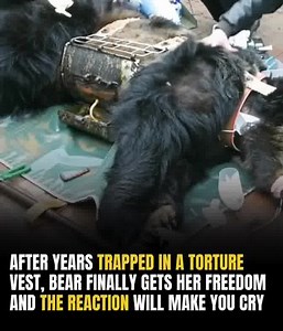 Try not to cry when you see her reaction 😢 | We Are Humanity