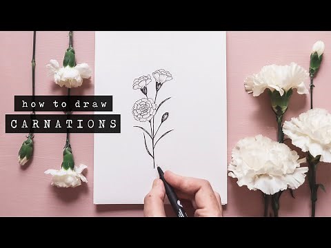 How To Draw Carnations | Floral Illustration
