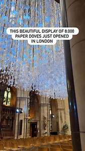 359K views · 13K reactions | Each dove carries a message of hope,...
