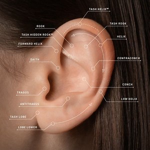 MARIA TASH on Instagram: "Where will your Curated Ear® journey take you?"