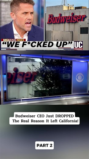 Budweiser CEO Just DROPPED The Real Reason It Left California! | California
