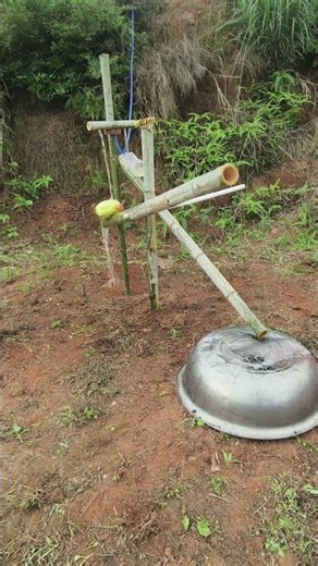 The wisdom of farmers: A homemade bird repelling device for orchards