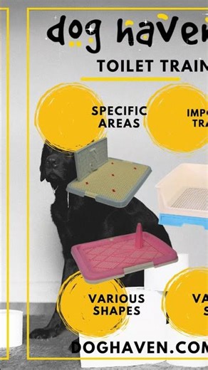 Dog Toilet Training takes time and patience, consistency is key | doghaven.com.au