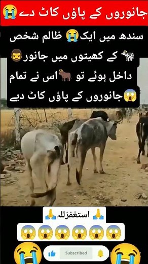 Very emotional 😭#sindh #poor #crying #viralvideo #foryou #youtubeshorts #pakistan #sad#shorts